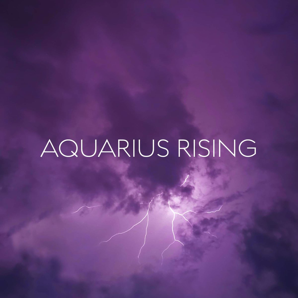 studpuffinn's tweet image. 