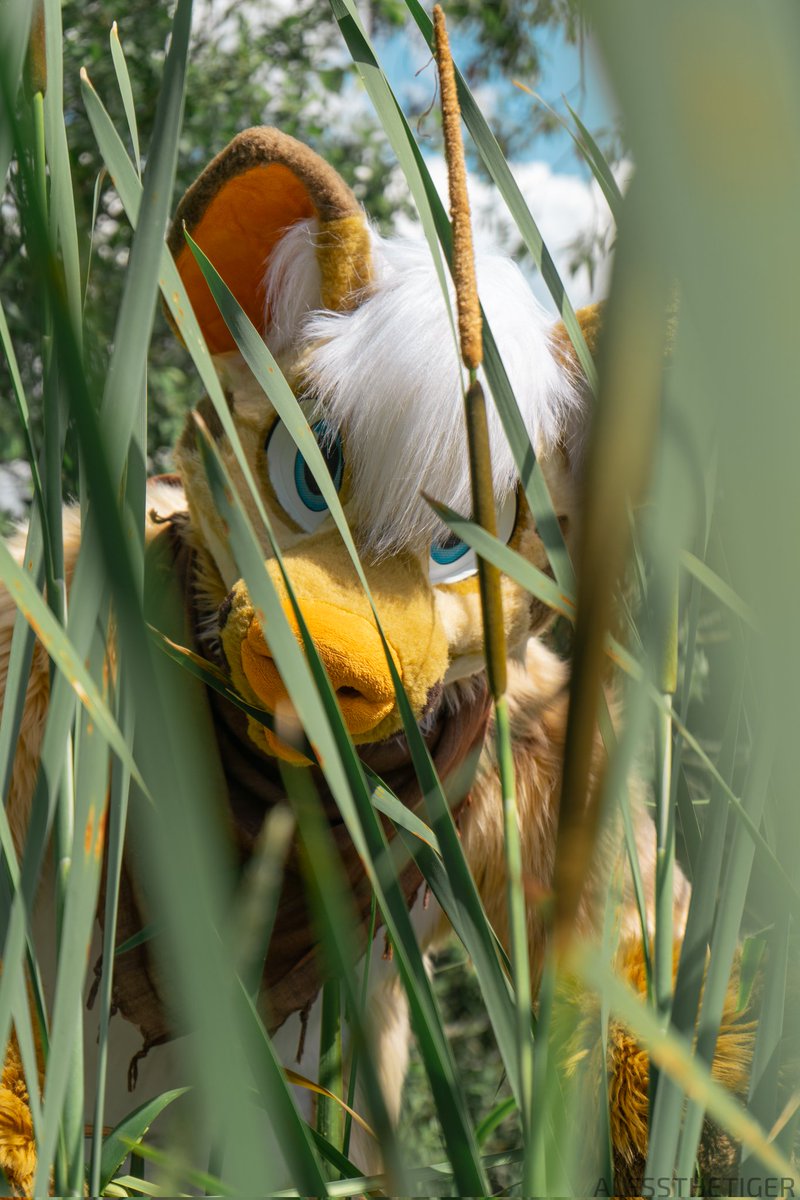 He's getting close~
What are you going to do?

Pic by: <a href="/AlessAndLexie/">Lexie Doggo</a>