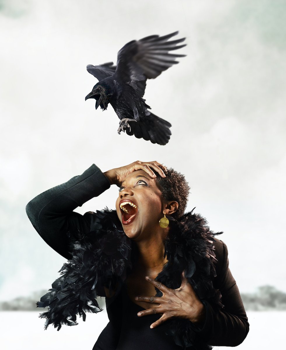 De 1e genomineerde die we voorstellen is de sopraan Claron McFadden. Claron staat bekend om haar zeer divers repertoire en haar unieke interpretatie van hedendaagse muziek. Lees meer over haar en over 'Chez Bricktop', haar ingediende plan voor The Next!  dnanext.nl/claron-mcfadde…