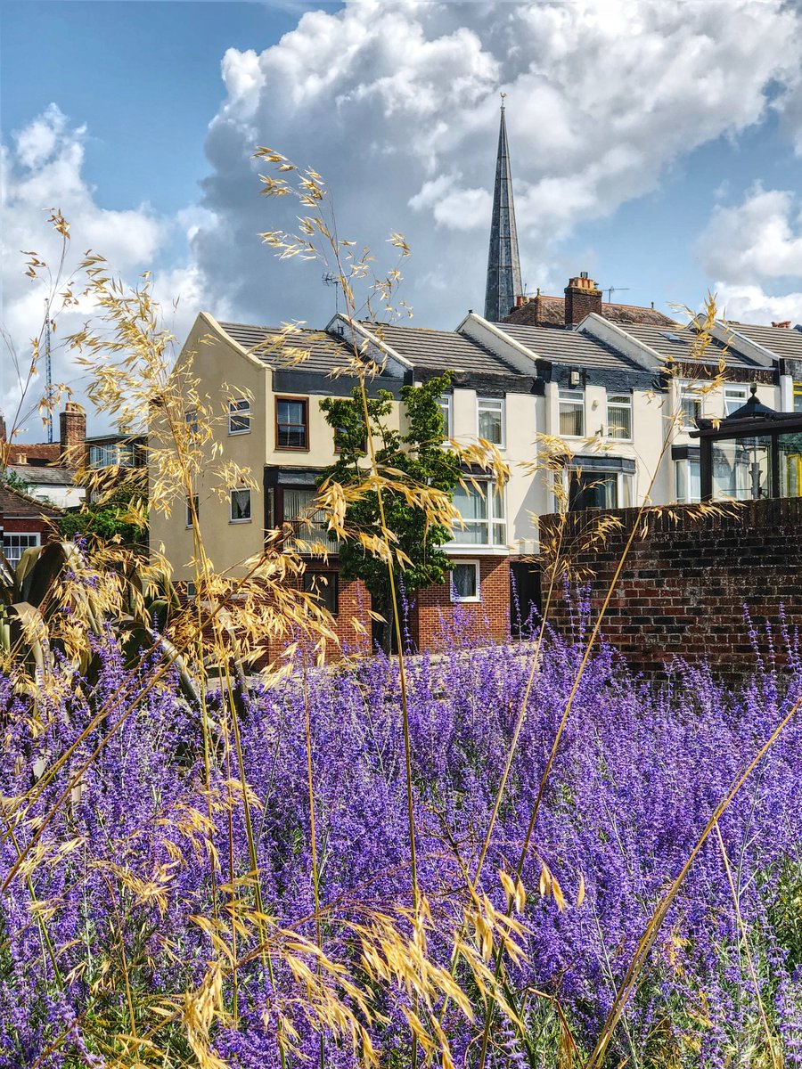 Colin Lee tweet media