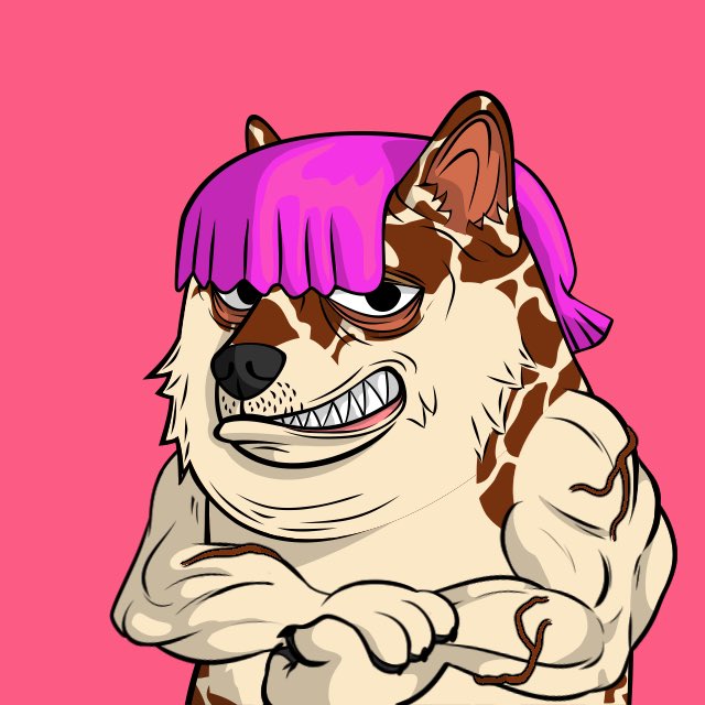 Pumpkin Doge tweet media