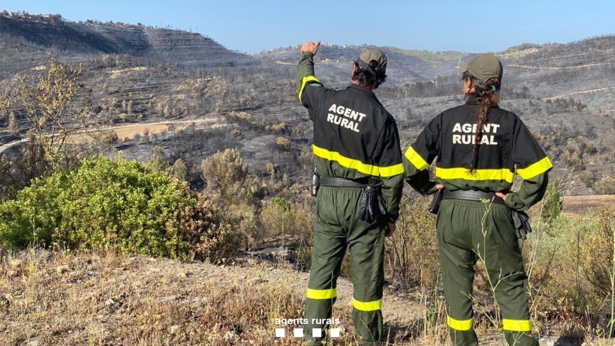 agentsruralscat's tweet photo. 🟢 A partir d'aquesta mitjanit, #AgentsRurals desactivem el nivell 3️⃣ del #PlaAlfa arreu del territori, així com la restricció d'accessos als espais naturals.

⚠️No abaixem la guàrdia! Per demà es preveu el nivell 2️⃣ per perill alt a 1️⃣1️⃣ comarques.

📲 https://t.co/4zt1cFzcJU https://t.co/FTDmnrb4BX