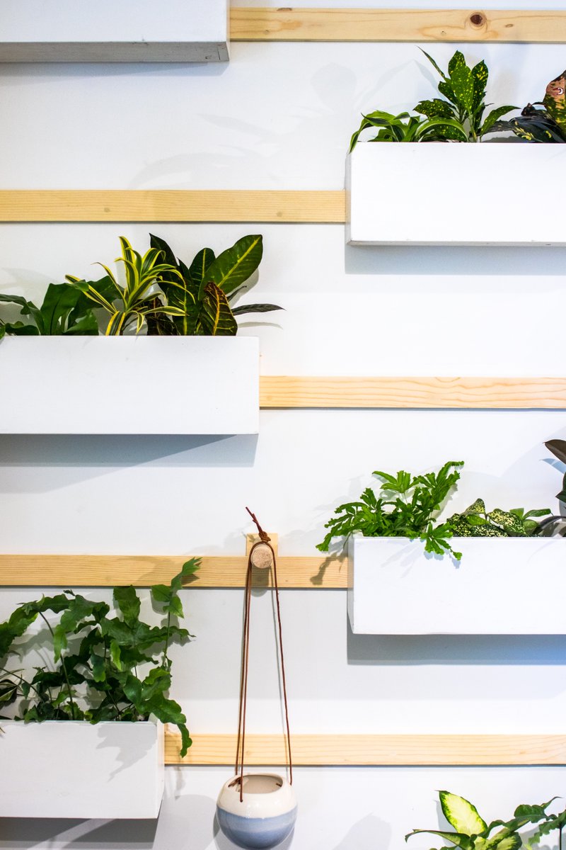 HomeWellnessID's tweet photo. Bring the Outdoors In with Nature-Inspired Design! 🌿🏡
 Let's create a sanctuary that reconnects you with the great outdoors! 🌿✨ #NatureInspiredDesign #BringingTheOutdoorsIn #HWID https://t.co/T2BzyJxYqQ