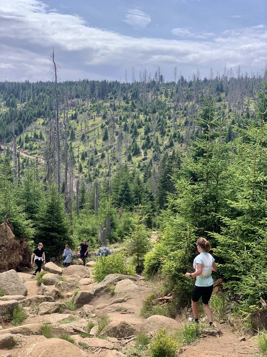 Robert Krüger tweet media