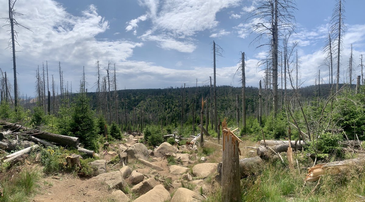 Robert Krüger tweet media