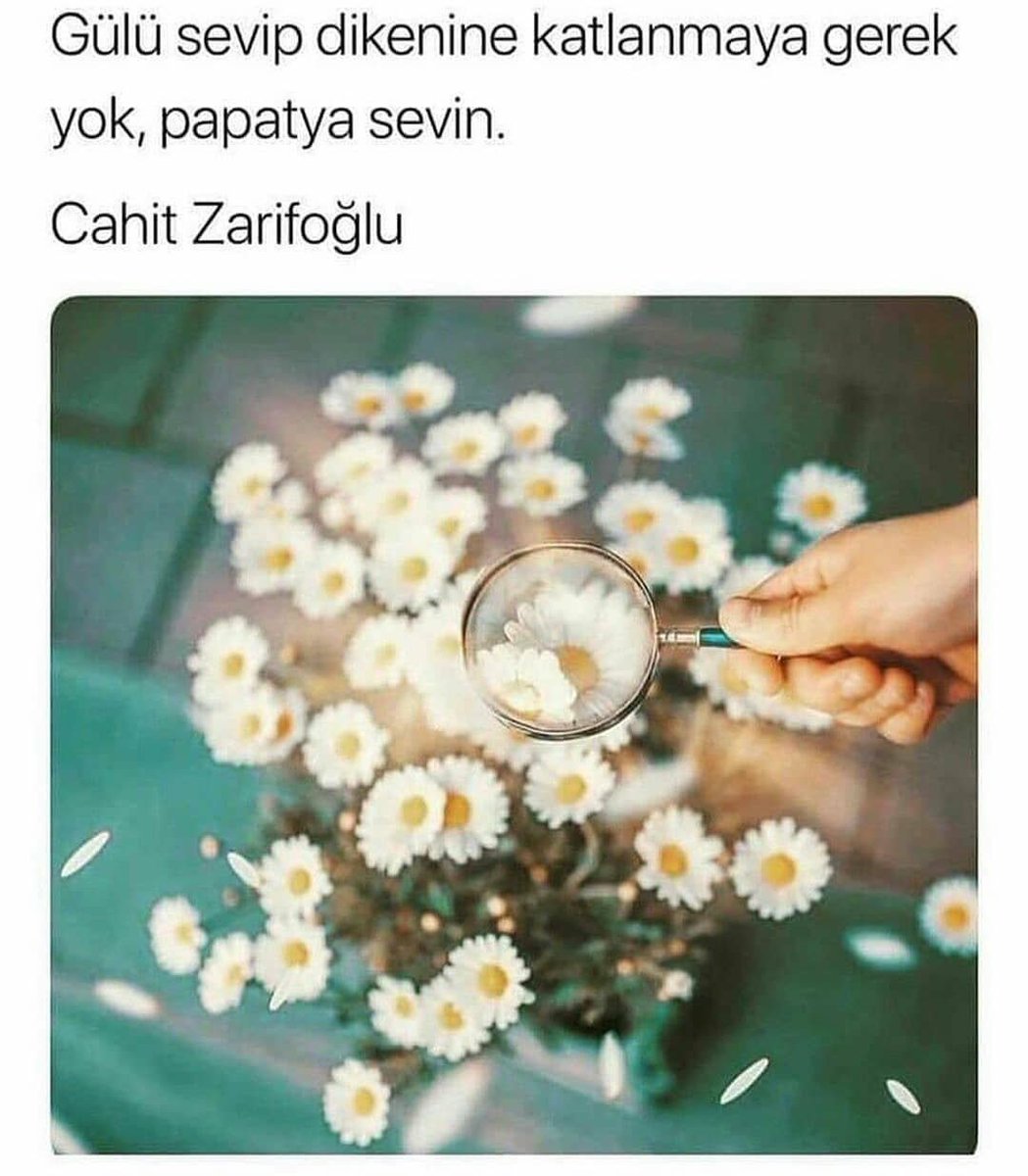 Sra (@_esratn) on Twitter photo 