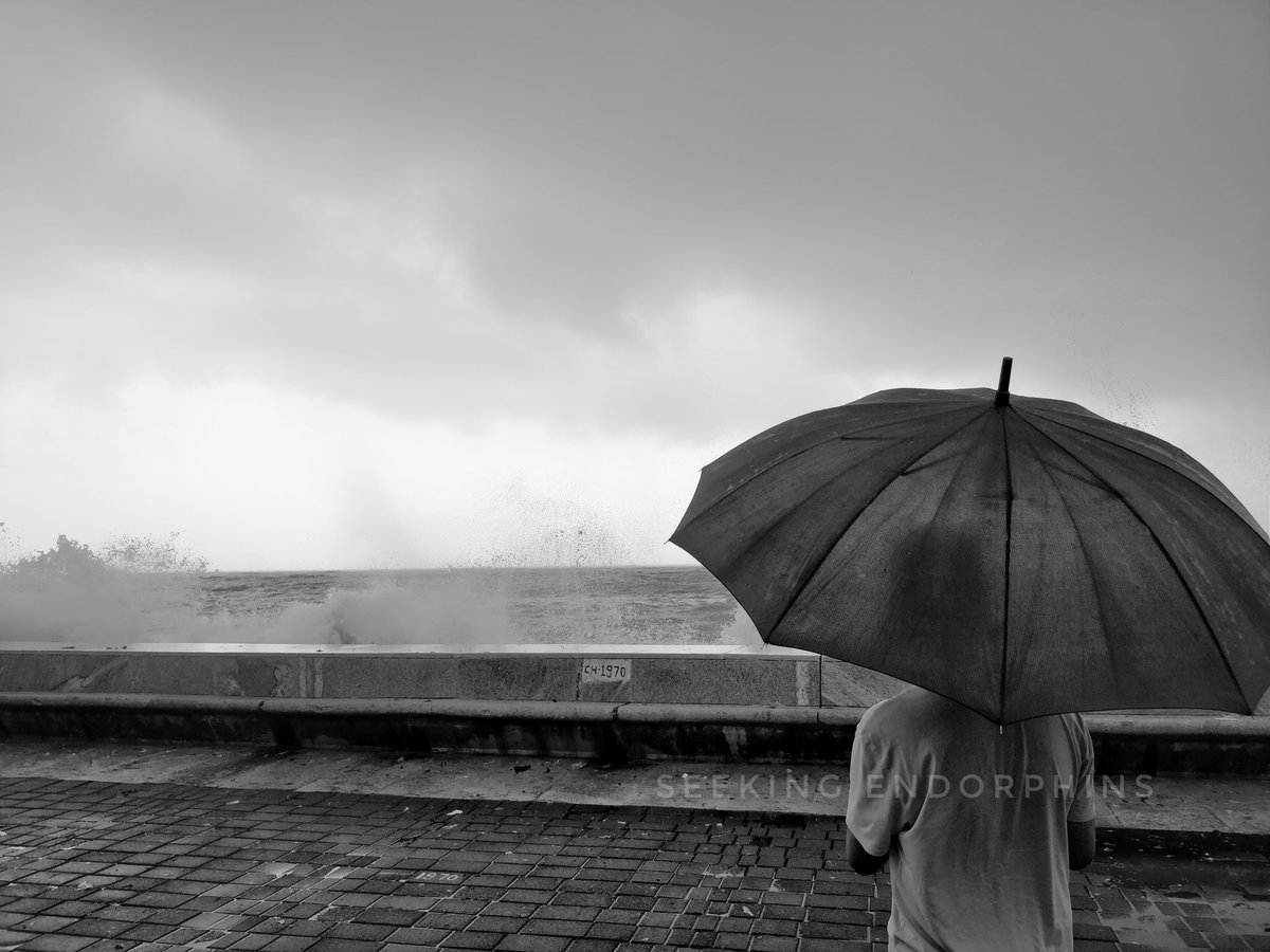 SEENDOCIN's tweet photo. Who knew you could fall in love with a city....

#Mumbairains #Mumbai #Marinedrive https://t.co/f7cev4VOkc
