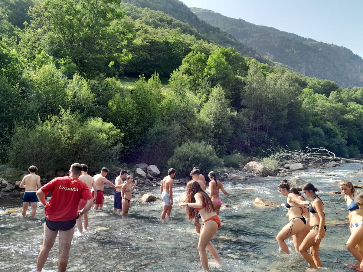 CJDBGuadalajara tweet media