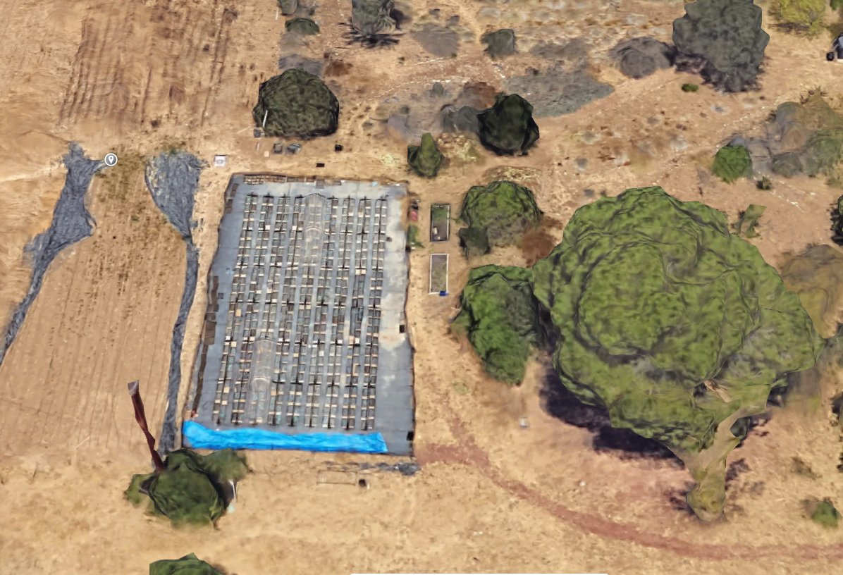 aburlacot's tweet photo. Just figured @MExpositoAlonso and @LauraCLeventhal 's common garden experiment with Arabidopsis is on Google map! 👀@carnegiescience https://t.co/1xVYTYRORn