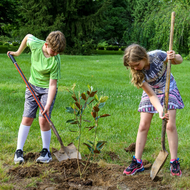 BritainyBeshear's tweet photo. Kentuckians are working to make their communities more beautiful, and their work should be celebrated! If you know of any clean-up or beautification projects in your neighborhood, be sure to submit a nomination for #BeautifytheBluegrass at https://t.co/UCPHZbEuDd before August 5. https://t.co/U3COT9VHPH