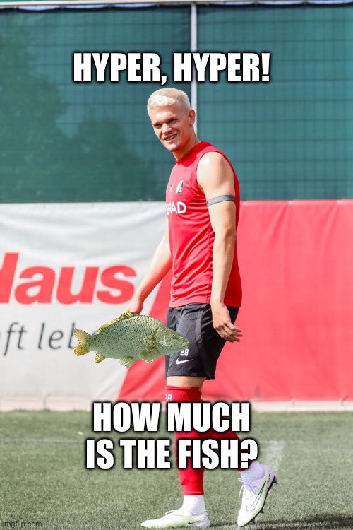 hblaschka's tweet photo. #HyperHyper #HowMuchIsTheFish #Ginter #scf #scfreiburg #matze #Fish #Meme #Scooter #HPBaxter https://t.co/euH4qHA92W