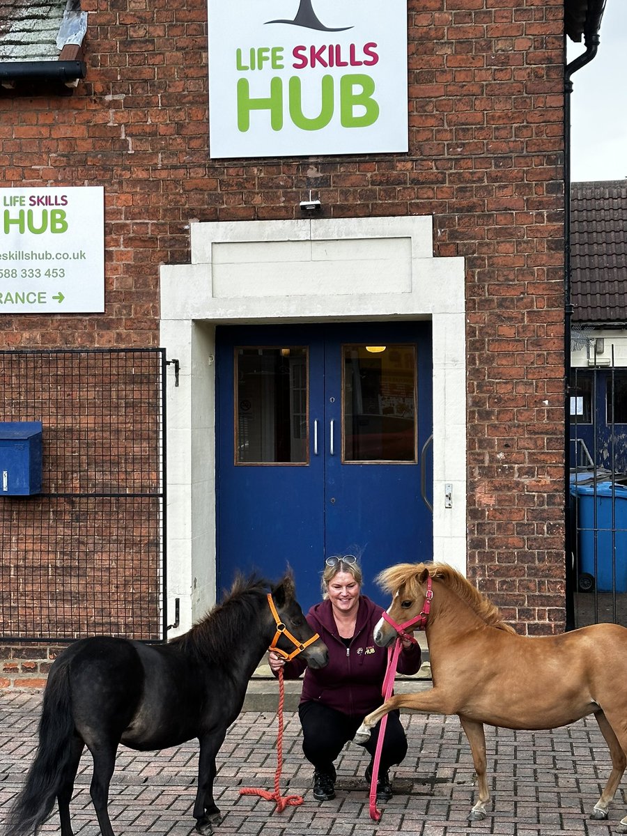 Therapony4's tweet photo. Sunny and Boo had a trip out this evening to meet and greet parents carers and staff from @LifeSkillsHub at the start of their AQA night. First off they had a good groom of each other to make sure they looked their best. #equineinteraction #therapony #wellbeing #lifeskillshub https://t.co/vJEtZH2GvR