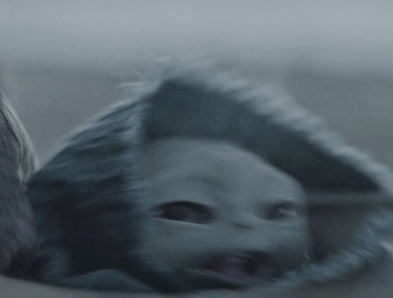 𝚃𝙷𝙴 𝙵𝙾𝚄𝙽𝙳𝙻𝙸𝙽𝙶 tweet media