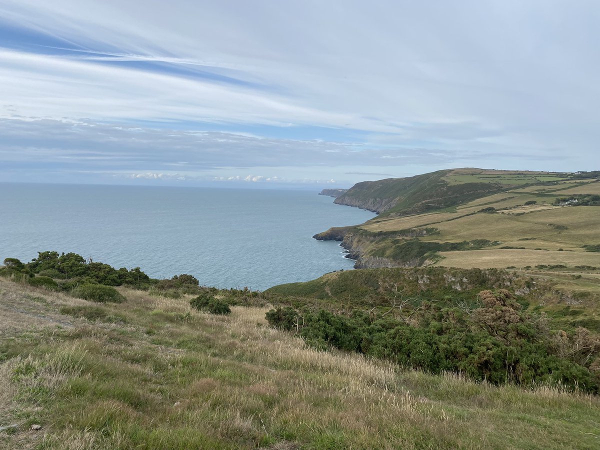 Miss Jacka tweet media