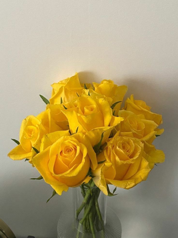 FilialPerseu's tweet image. ️️ ️️ ️ ️️ 𝗣edido: Sunlight 

 ️️ ️️ ️️ ️️ ️️𝗗e: ❄️
 ️️ ️️ ️️ ️️ ️️𝗣ara: ⁦@lopiccoIi⁩ 

 ️️ ️️ ️️ ️️ ·۪ϟ Você é meu sol, eu sou um girassol.