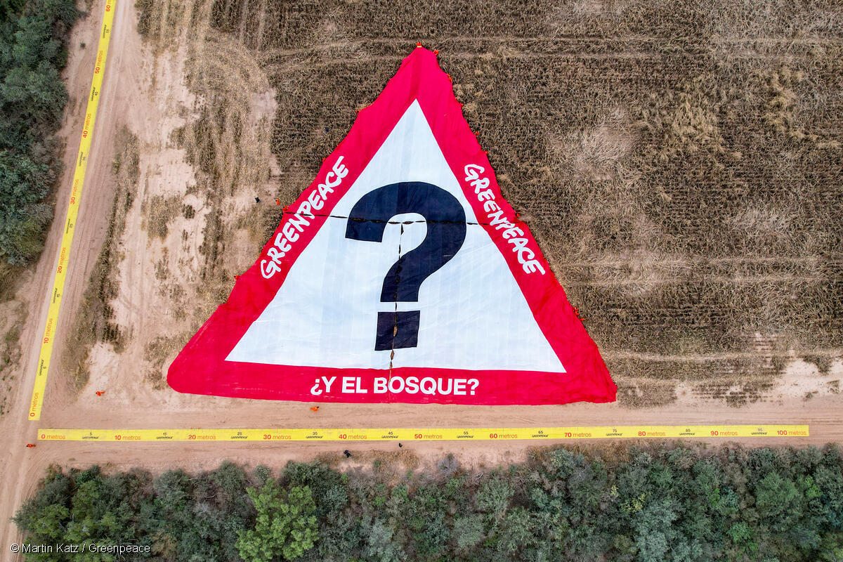 Greenpeace International On Twitter Activists From Greenpeace greenpeace-international-on-twitter-activists-from-greenpeace