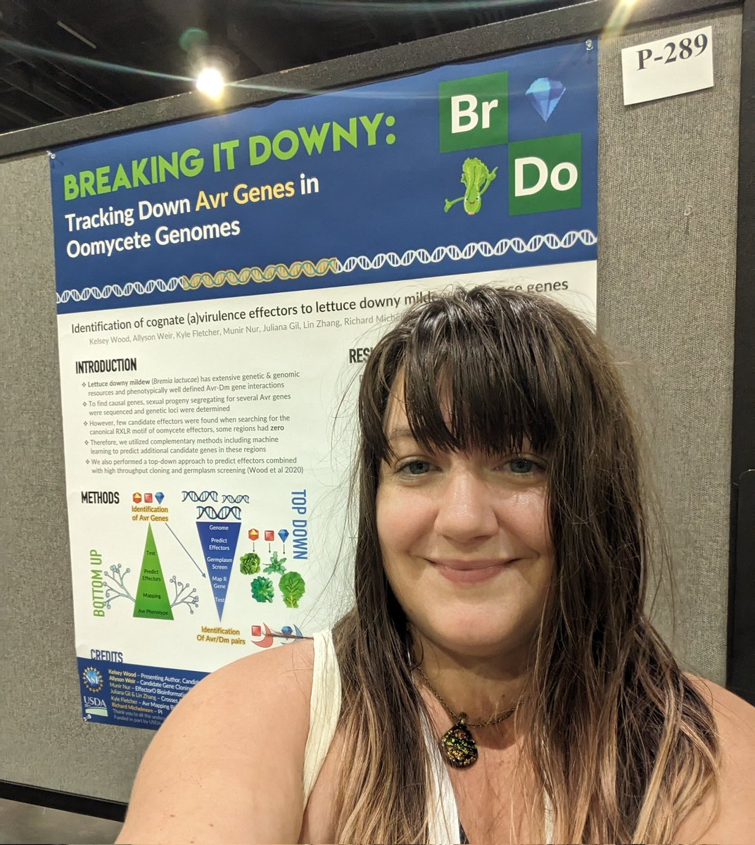 michelmorelab's tweet photo. Oomycetes, fungi, and bacteria, on lettuce, oh my!

Learn about all at the four @michelmorelab posters @ISMPMI which will be up until Thursday at 1pm #2023ISMPMI https://t.co/l34AGkPjex