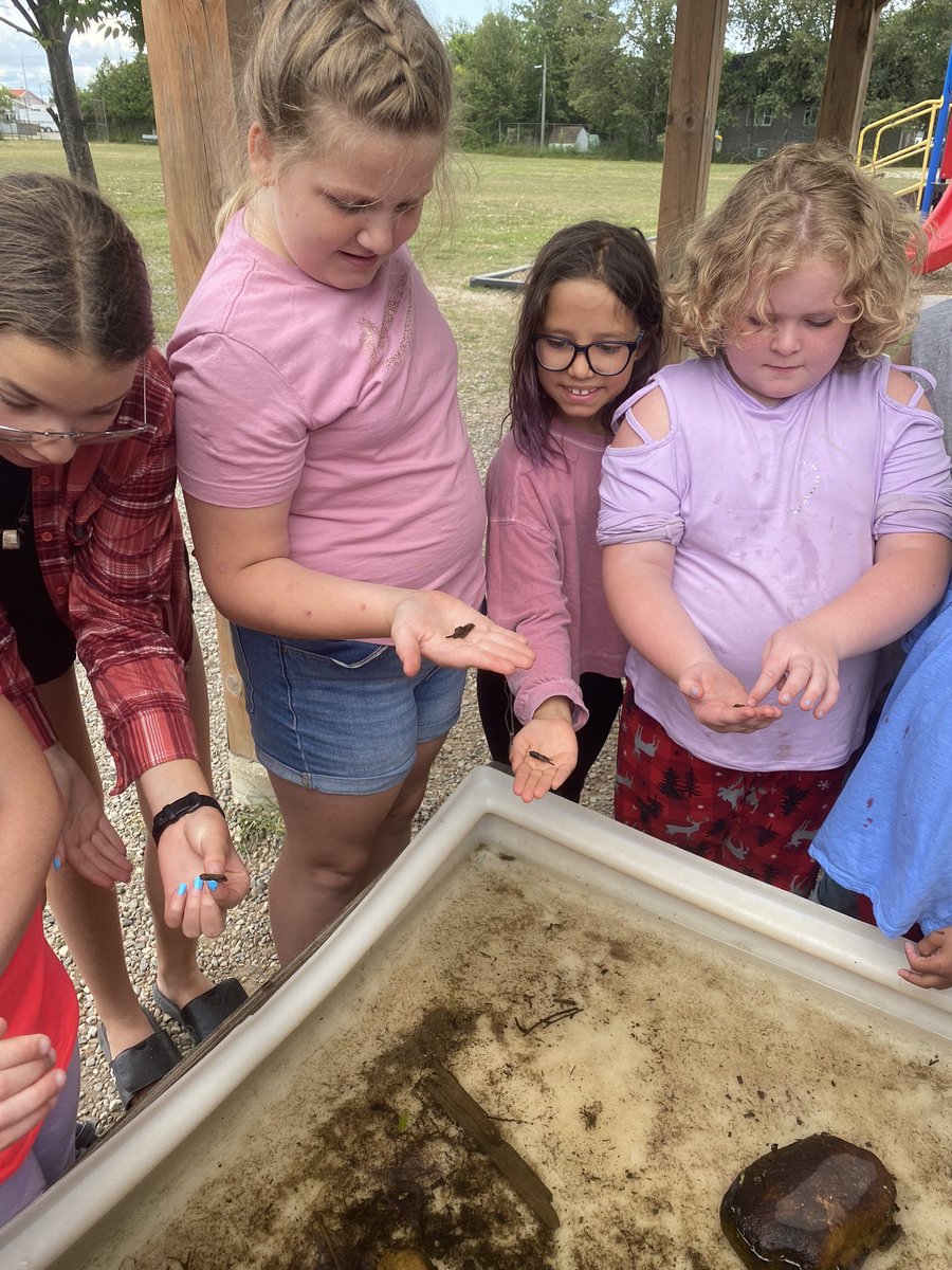 rdsbcodesummer1's tweet photo. Learning about invasive species and non-invasive species to the island today. Now we know more about how to protect our waters! https://t.co/GGm5Xrz5D0