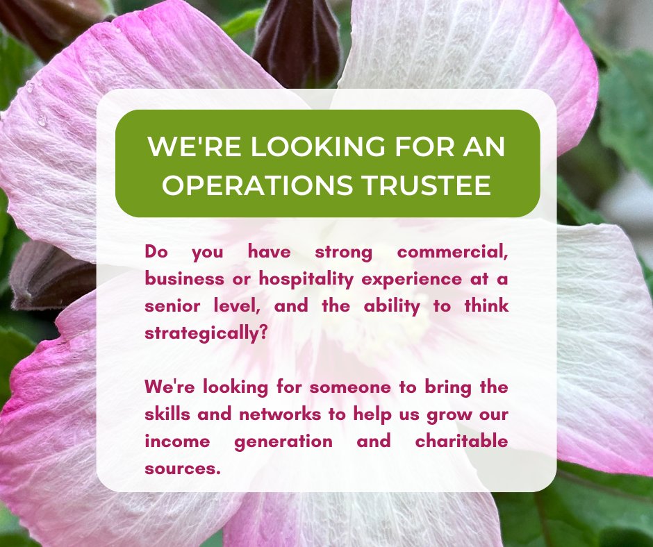 BhamBotanicalGd's tweet image. Our Board is expanding! We are looking for an Operations Trustee to play a vital role in shaping the future of the Gardens 🌳
Find out more &amp;amp; apply here:ow.ly/JwQ150PgeET 
Application deadline: 5pm - 31st Aug 23.
#vacancy #opportunity #boardoftrustees #botanicalgardens