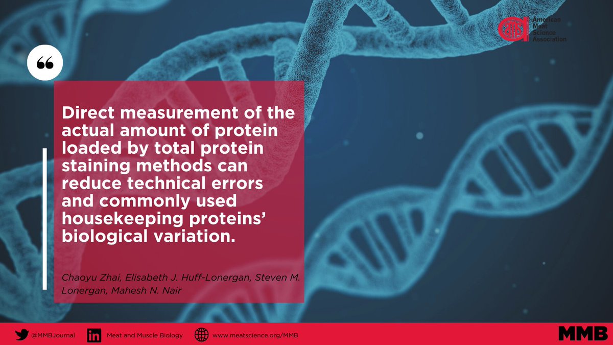 #MeatScience Researchers harness technology to study meat quality variations. Delve into the latest research by experts from @ColoradoStateU & @IowaStateU 📚🔬 doi.org/10.22175/mmb.1… #FoodScience #MeatIndustry #AnimalScience #Science #MeatQuality #Research