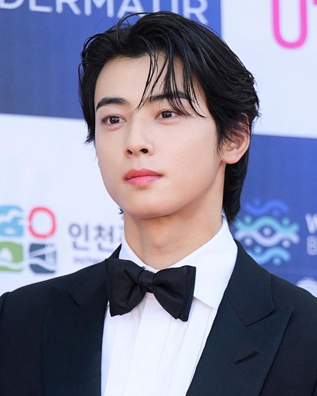 CHA EUNWOO 차은우 INTERNATIONAL tweet media