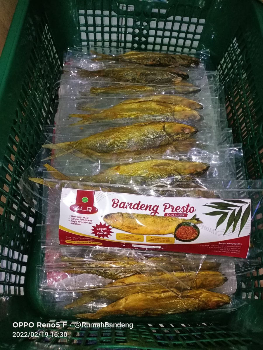 Arwinda_novitri's tweet photo. Jumat (07/7), Arwinda Novitri, PPB Kota Pekanbaru, di Pelaku Usaha an. Erni Yuniati Ketua Poklahsar Kulim Sejahtera mendampingi Produksi Bandeng Presto, Produksi Bulan Juli 2023, total Produksi 120 kg, harga jual Rp.120.000/kg #GiatLuhkanSatminkalMedan #Pekanbaru #Panen https://t.co/jUGhT5lAe5