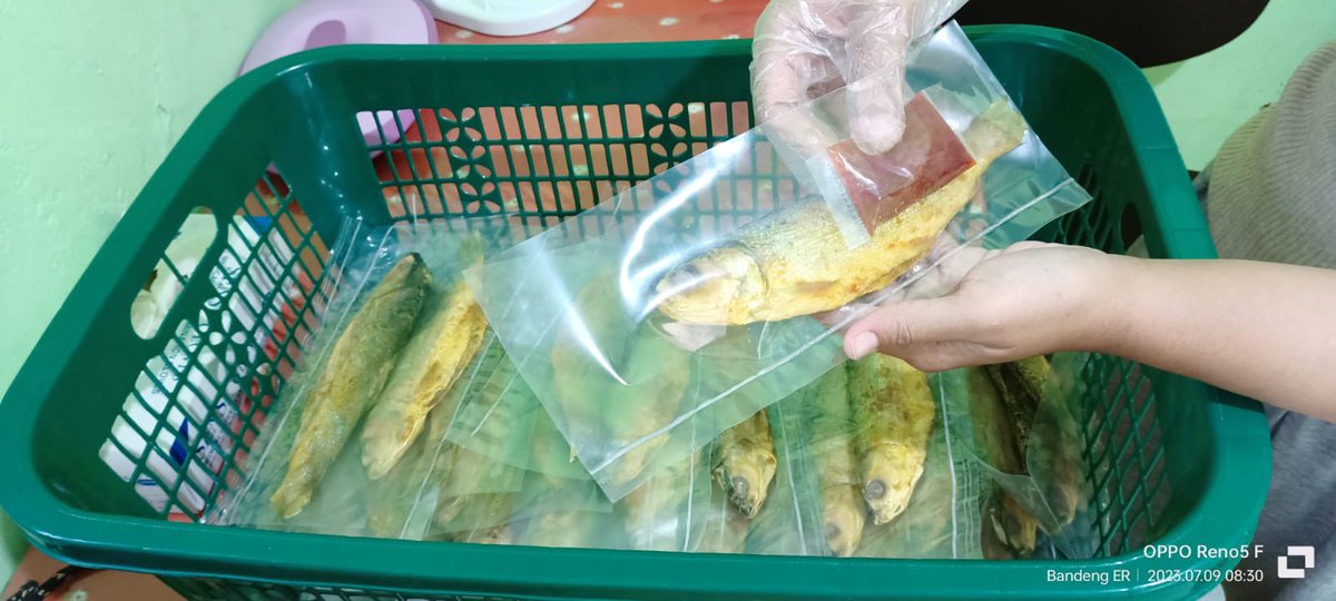 Arwinda_novitri's tweet photo. Jumat (07/7), Arwinda Novitri, PPB Kota Pekanbaru, di Pelaku Usaha an. Erni Yuniati Ketua Poklahsar Kulim Sejahtera mendampingi Produksi Bandeng Presto, Produksi Bulan Juli 2023, total Produksi 120 kg, harga jual Rp.120.000/kg #GiatLuhkanSatminkalMedan #Pekanbaru #Panen https://t.co/jUGhT5lAe5