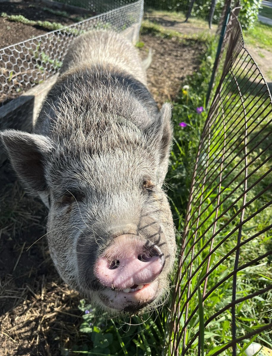 Lowell Brower tweet media