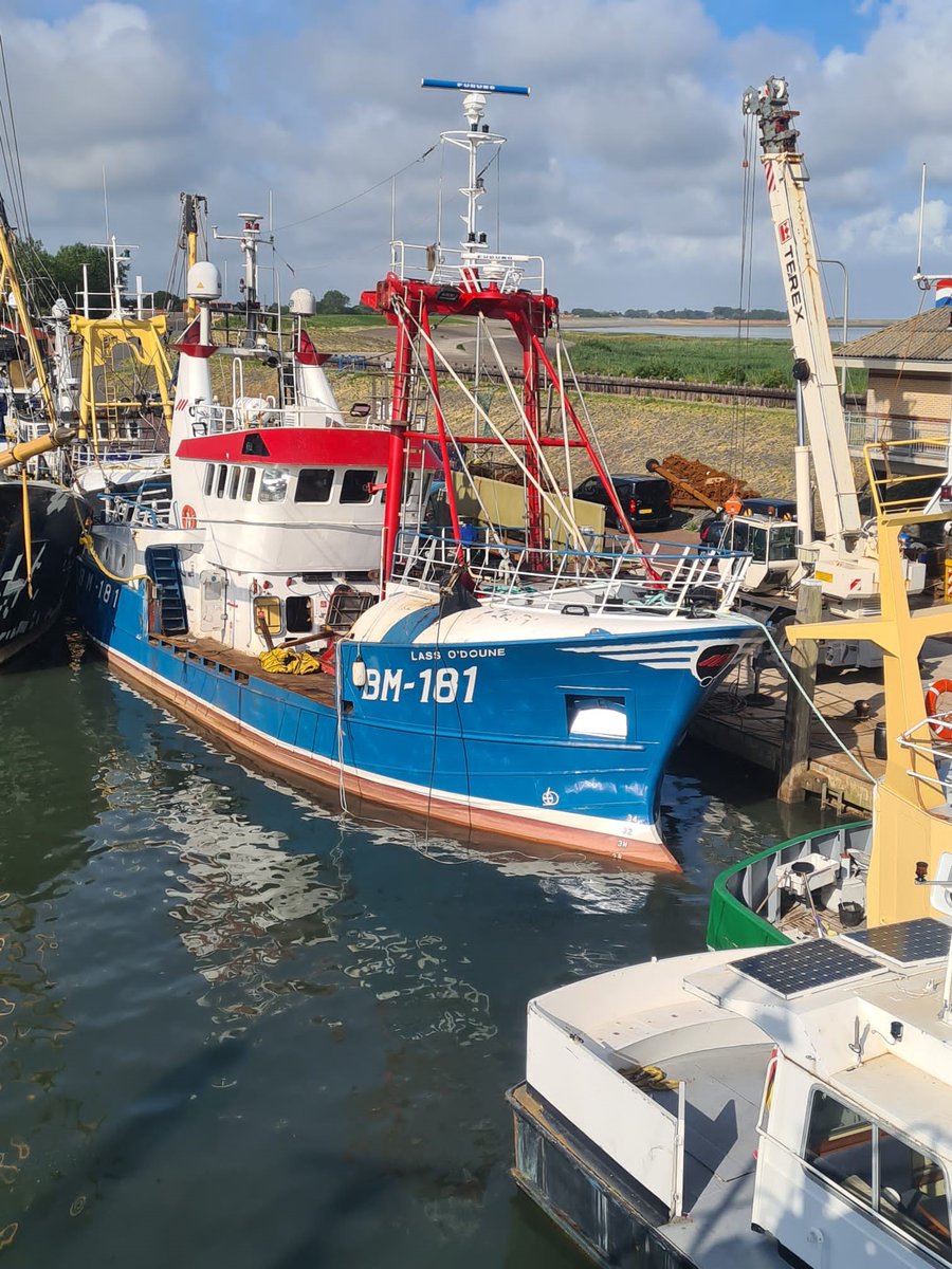 LuytGroep's tweet photo. Vernuftig constructiewerk🛠
Onze werf heeft een set nieuwe scallopdeuren gefabriceerd en geplaatst aan boord van de #scalloper ‘Lass o'Doune’ BM-181🏴. De scallopdeuren kantelen hydraulisch omhoog vanaf de romp van het schip.
#scheepswerf #LUYT #DenOever #visserij #viskotters https://t.co/oHSqzSj4yf