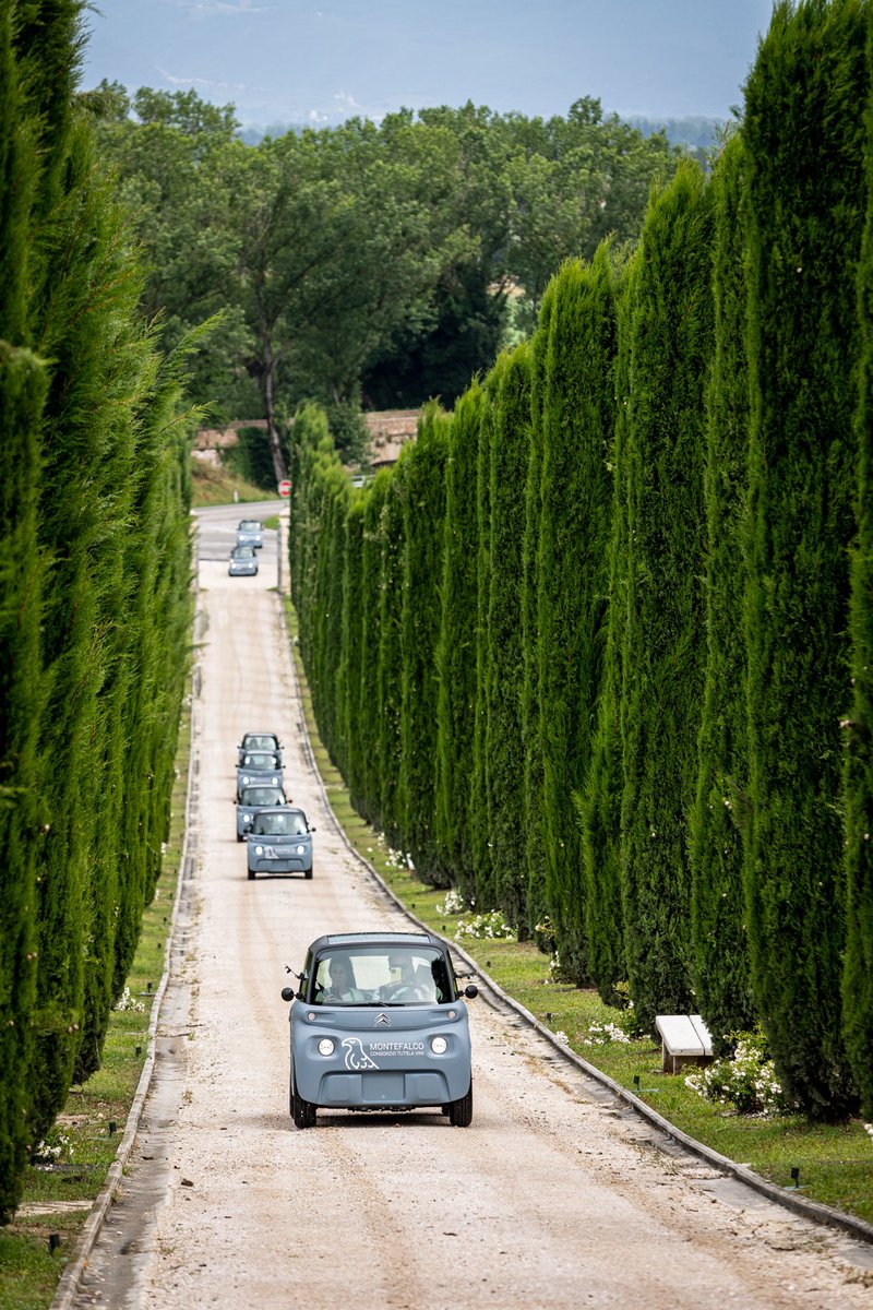 Miriade & Partners tweet media