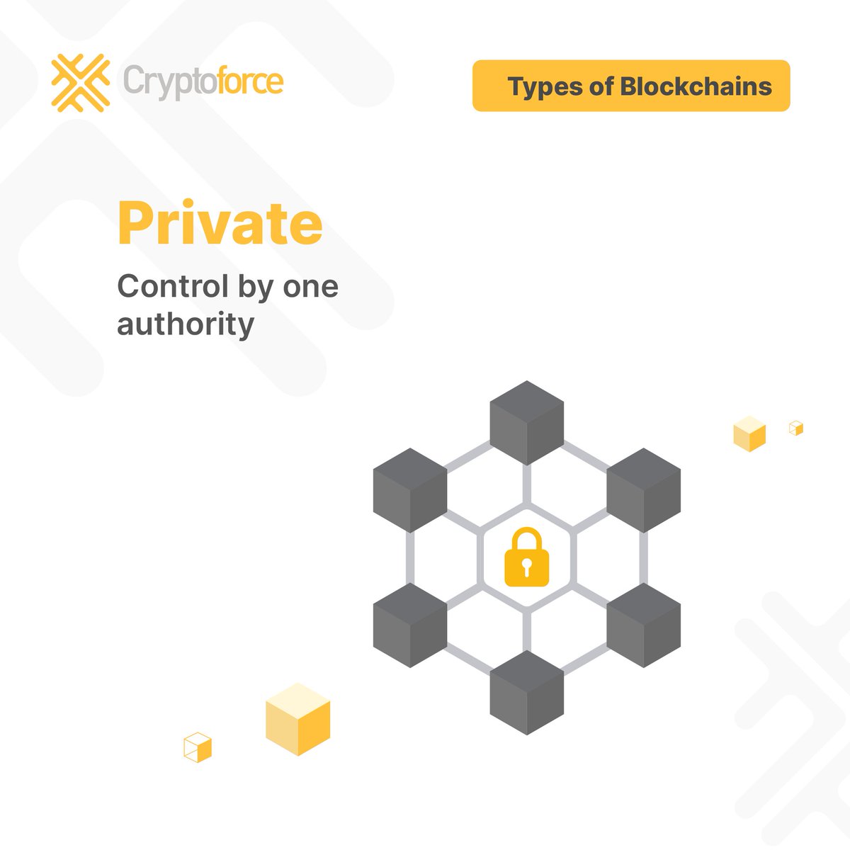 cryptoforce_in's tweet photo. From Public to Consortium, Blockchain technology comes in various forms beyond just cryptocurrencies.
#Crypto #cryptocurrency #blockchain #cryptomarket #DigitalCurrency https://t.co/OfCJcidt7v