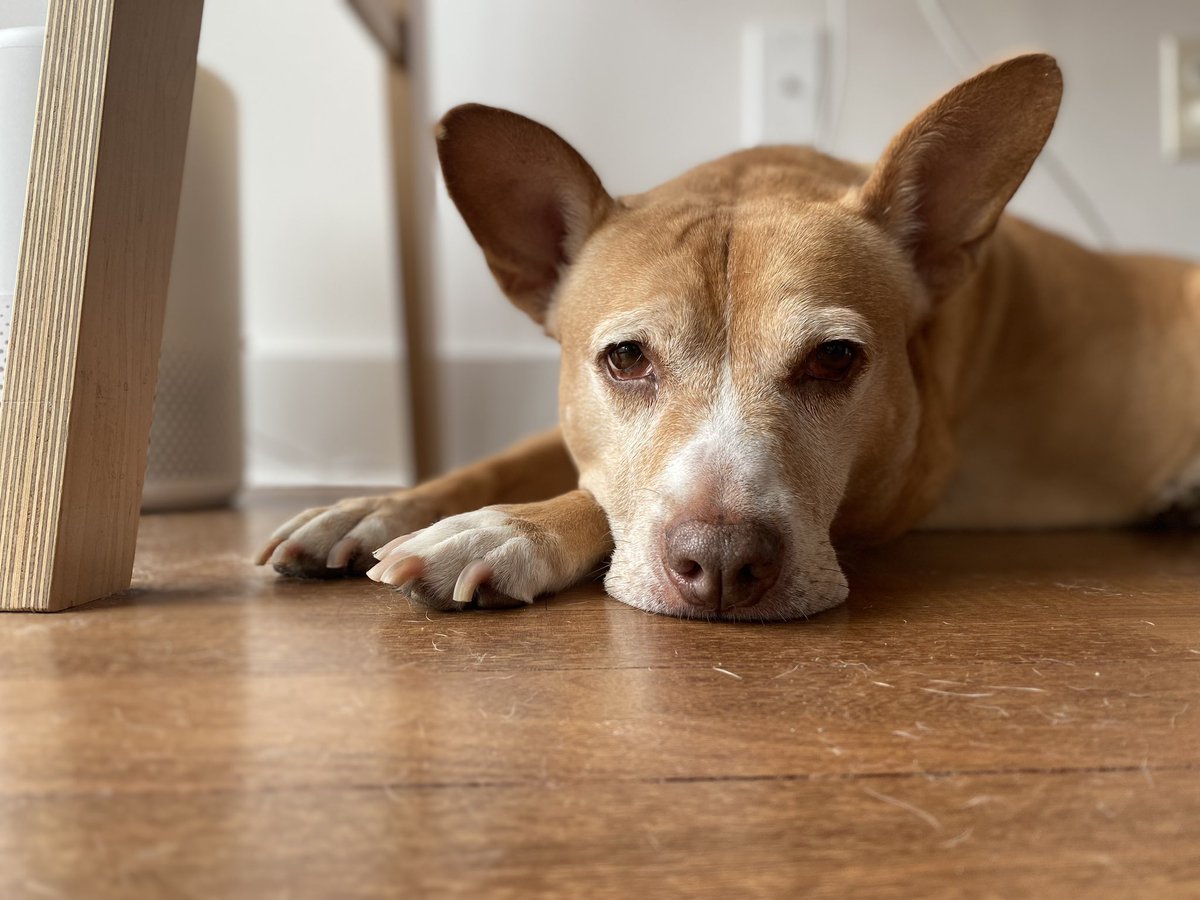 Kendra Clarke tweet media