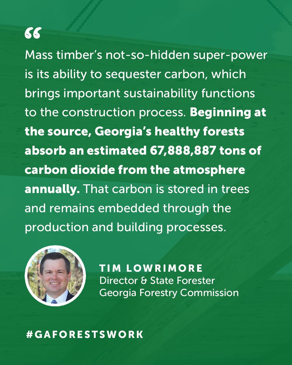 GeorgiaForestry's tweet photo. We are grateful for the recognition of @GaTrees State Forester Tim Lowrimore as he highlights power of Georgia's forestry sector in his recent @SaportaReport oped 🌲. Read more: https://t.co/nhIu6vU7Tp #gaforestswork #seedlingstosolutions #georgiaforestry #circulareconomy https://t.co/OSCYnIc0LB