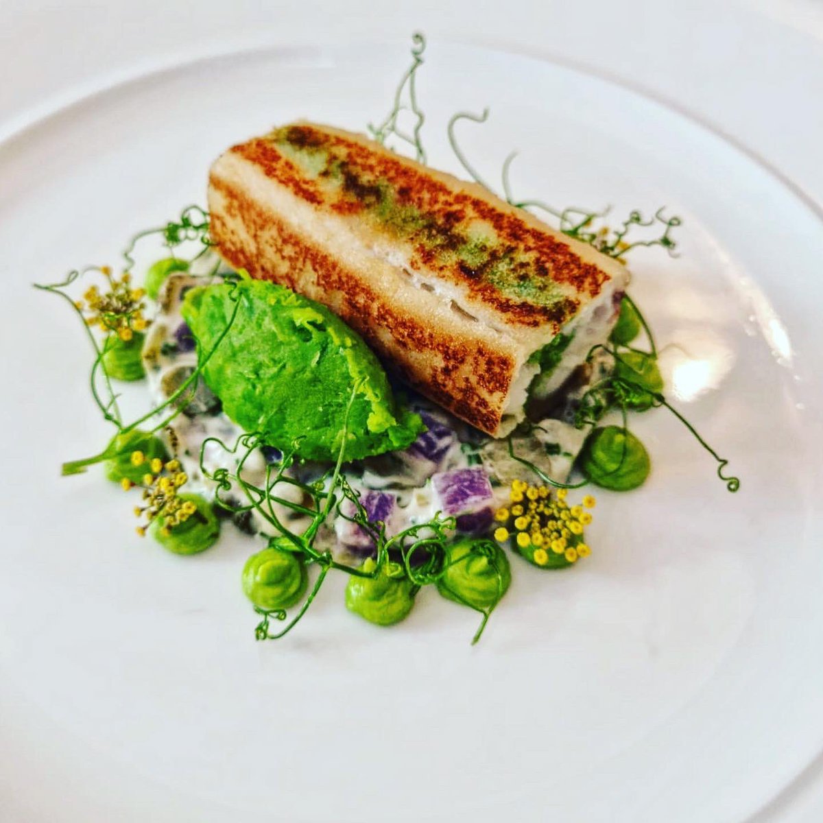 Purslane_1's tweet photo. New fish starter on the lunch menu sole and parsley mousse croustillant with confit purple potato, tartar sauce and pea purée #purslanerestaurant #edinburgh #doversole #pea https://t.co/TN1HMKpaQP