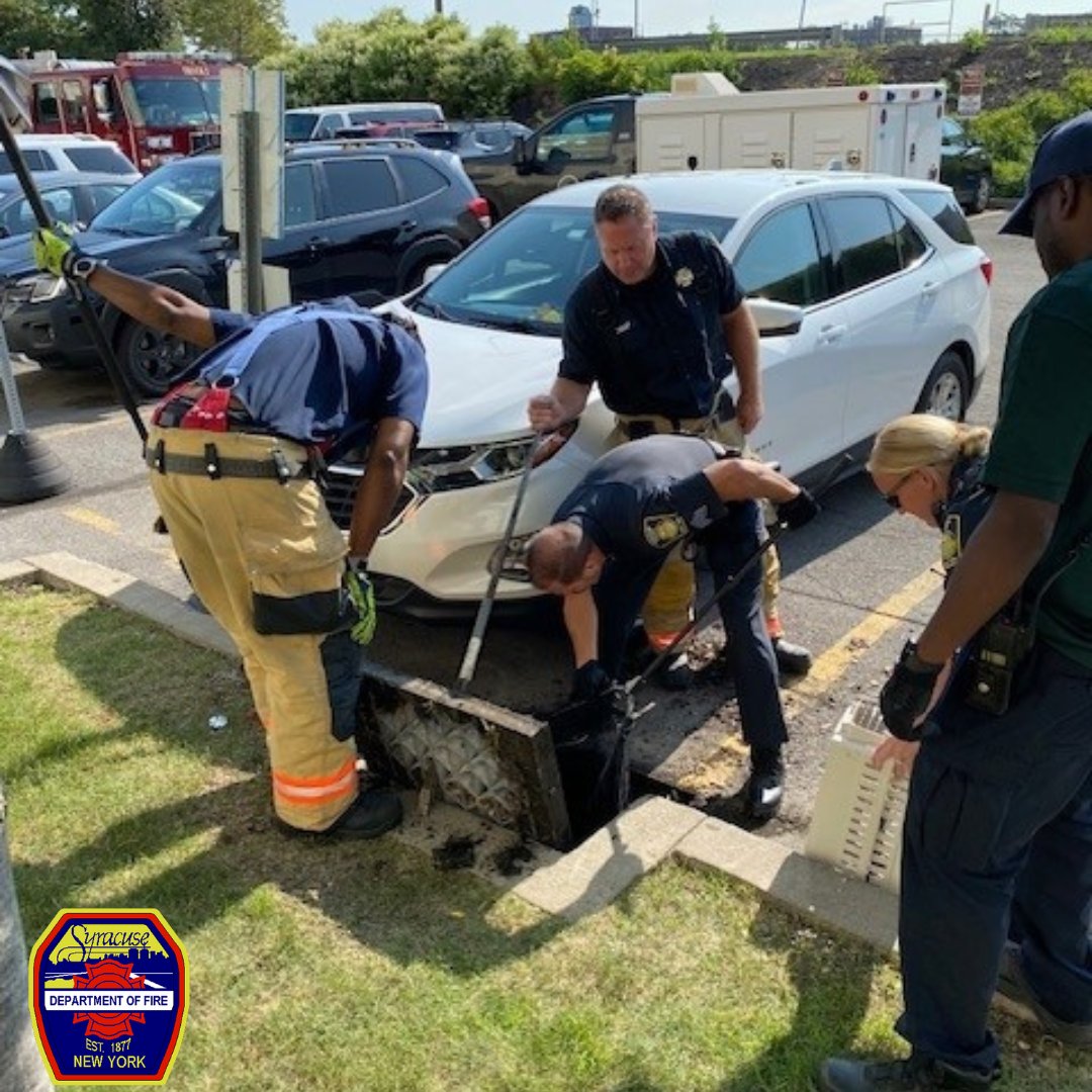 syracuseFD's tweet photo. TEAMWORK

This morning, Syracuse Firefighters from Truck 2 assisted @SyracusePolice with a duckling rescue at DestinyUSA. Ducklings were removed from a sewer and led to a safer area before being reunited with mom. Great work by all involved! https://t.co/JnunibfIBt