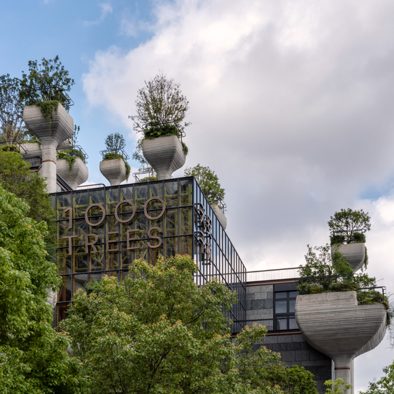 Lutron's tweet photo. Heatherwick Studio created a tree-capped landscape in the Shanghai skyline – powered by Quantum. See how they brought this space to life at @archdaily.