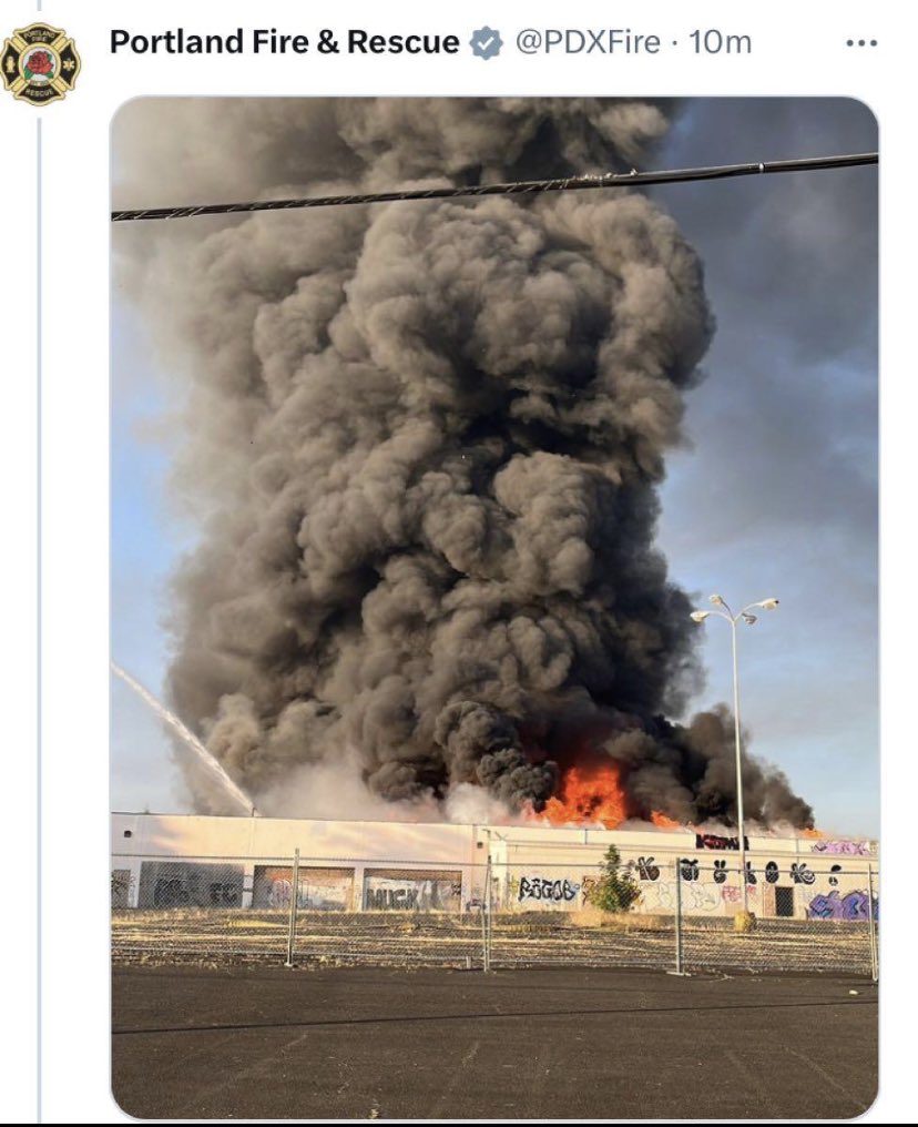 AdoptBlock's tweet image. 