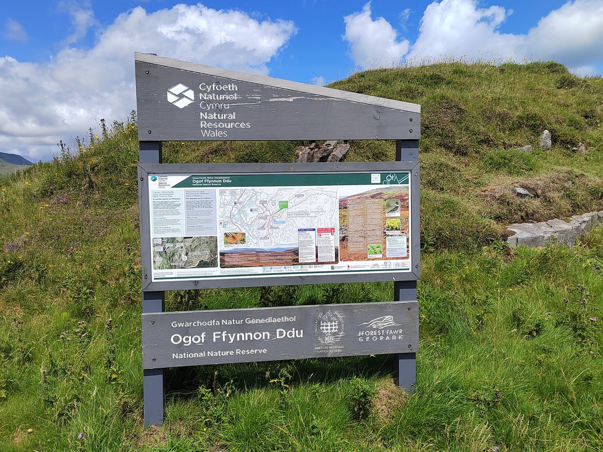 smoggiewalks's tweet photo. Enjoy the sunshine #explorelocal #discoverlocal #getoutside #BorderCollie #breconbeacons #cambrianway #beaconsway @BeaconsWarden @DerekTheWeather @OrdnanceSurvey @ExploreBreconB https://t.co/iCFCd4pFGb