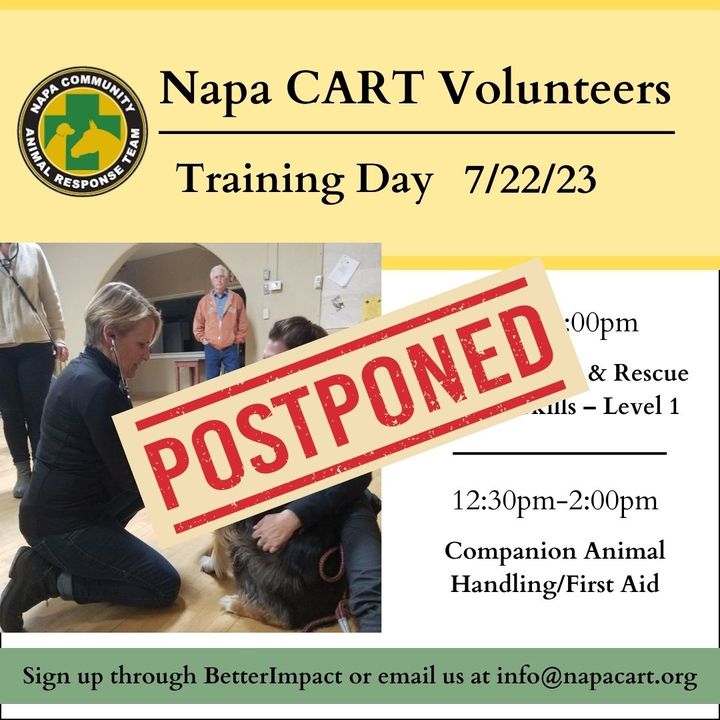 Napa CART tweet media