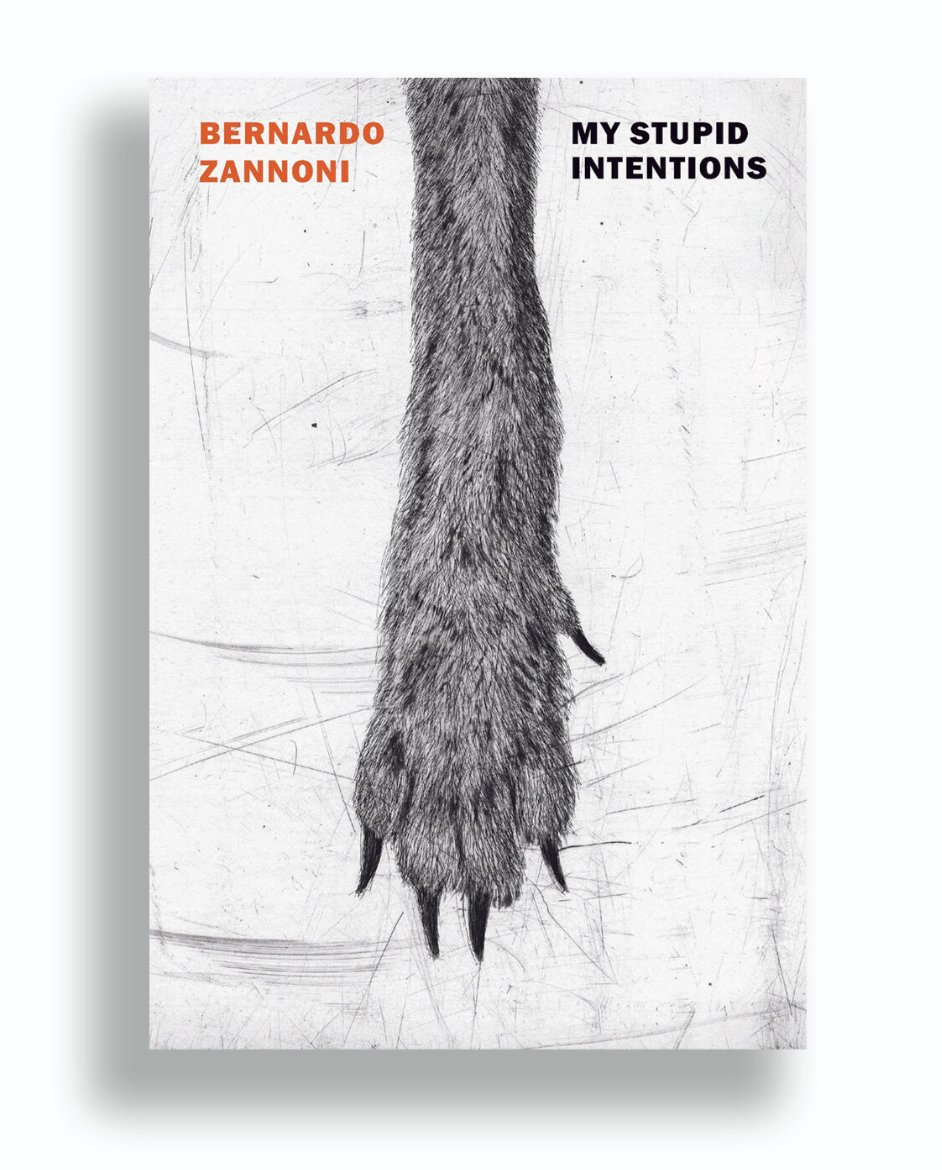 @GraywolfPress Laura is enamored with MY STUPID INTENTIONS by Bernardo Zannoni (trans. Alex Andriesse) and published by @nyrbclassics She says: 'An instant classic.'