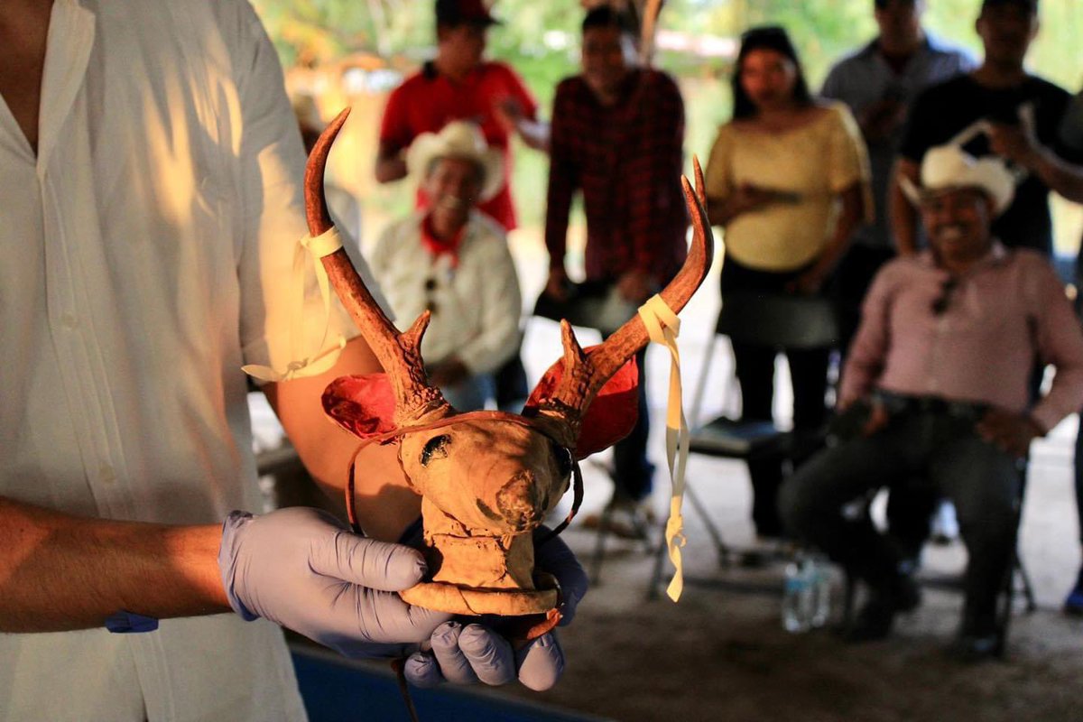 XeewTorres's tweet photo. En Mecanismo de Expertos sobre los Derechos de los Pueblos Indigenas @ONU_derechos, en nombre del @GobiernoMX @INPImx @MisionMexOI @DEELAYUUK, la #Delegamex informó sobre la devolución (12jul23) del Maaso Koba al pueblo yaqui como acto de resarcimiento de su  #PlandeJusticia https://t.co/zR7QFascuN