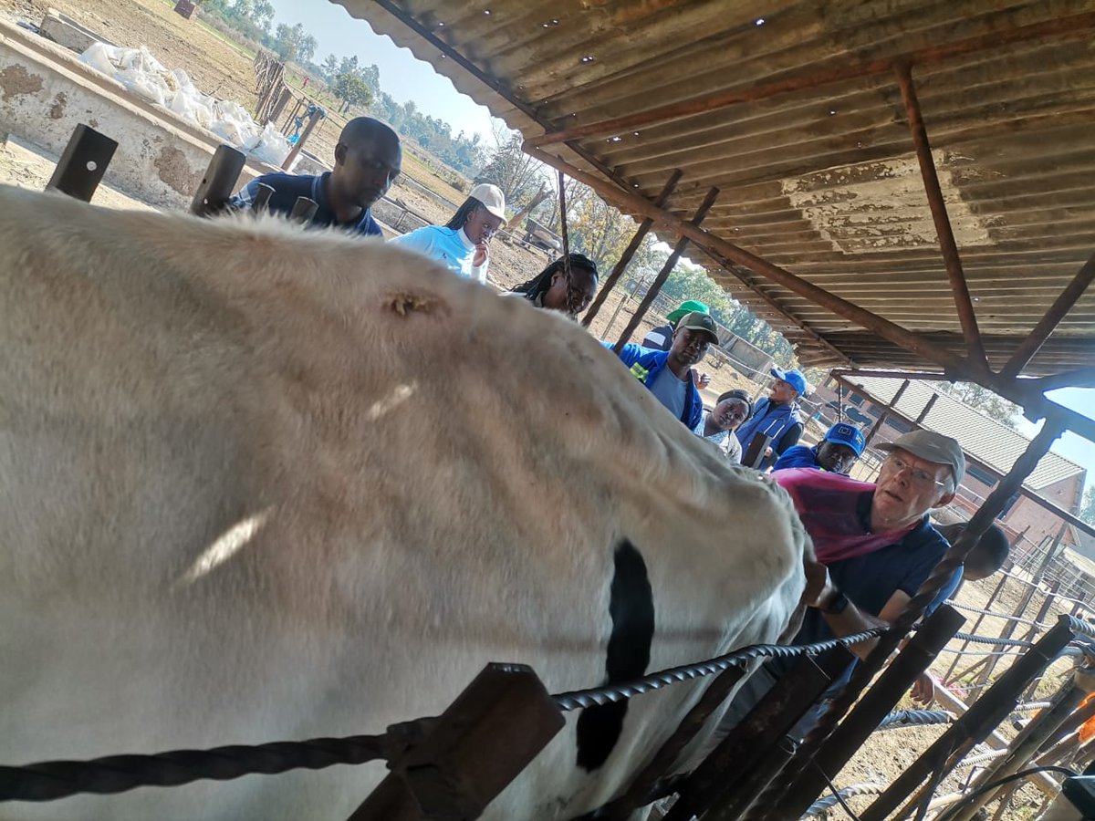 ZADF_Official tweet media