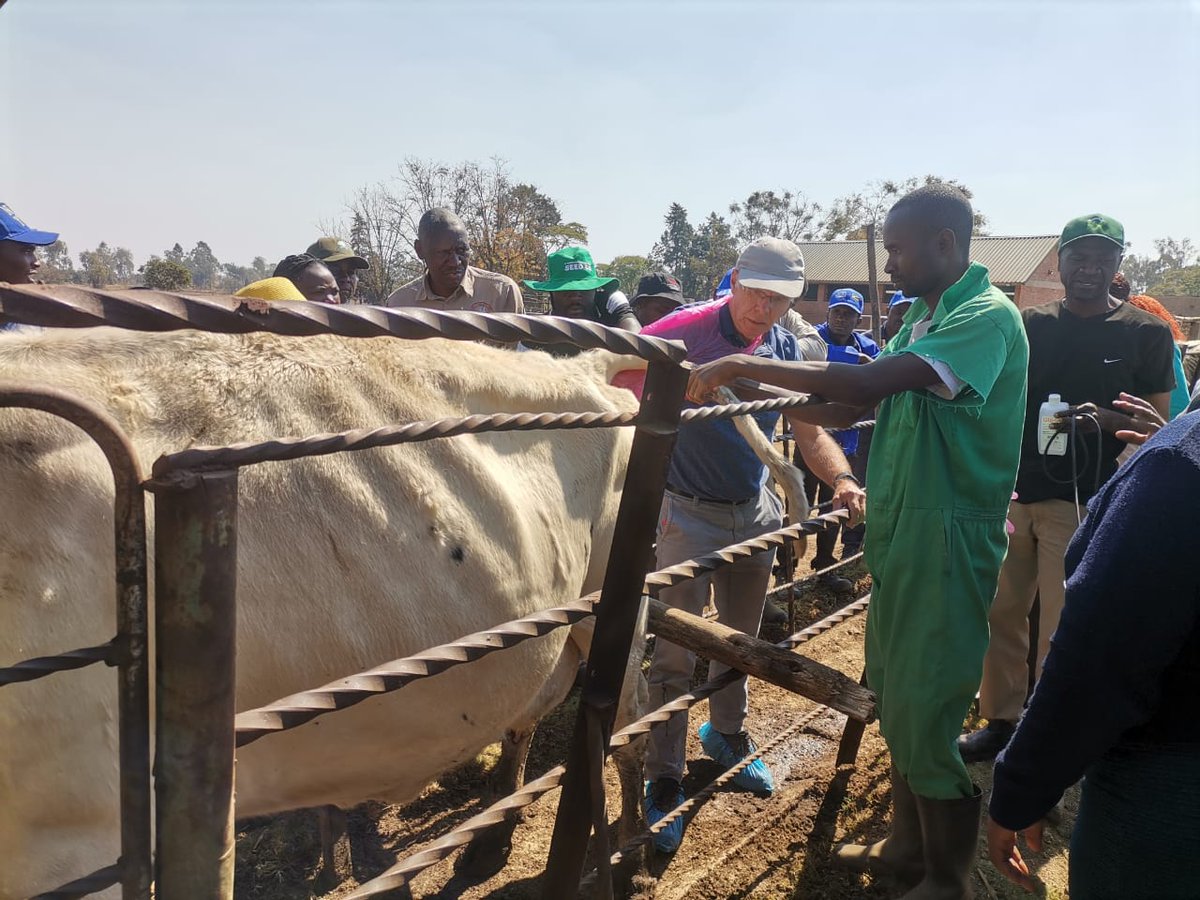 ZADF_Official tweet media