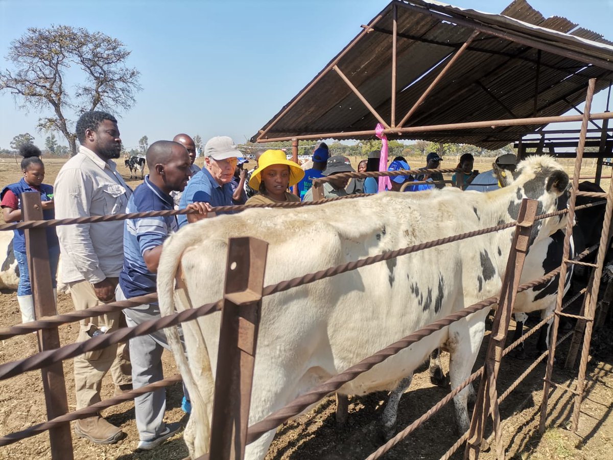 ZADF_Official tweet media