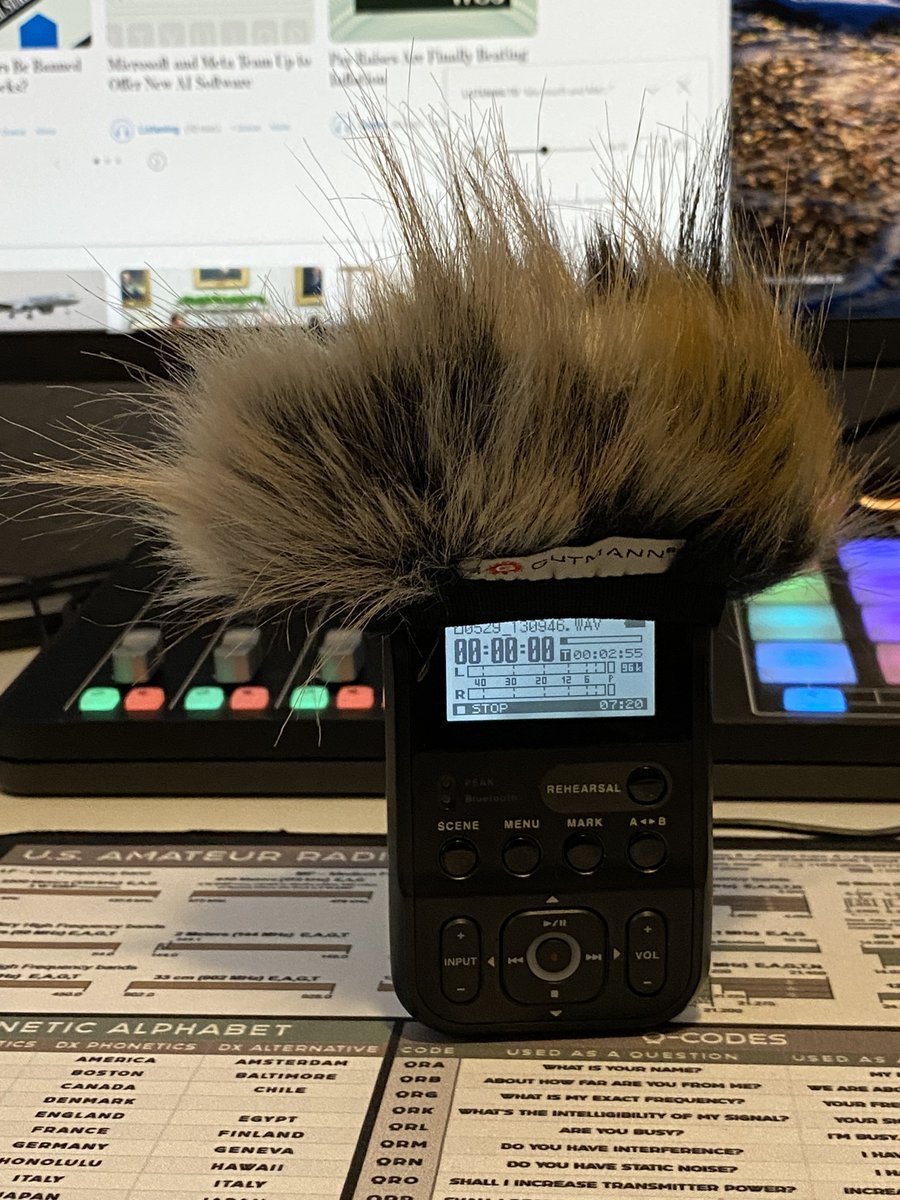 If you really think about it, human ears are pretty miraculous. Imagine if we needed to wear giant puffy things to reduce wind noise.