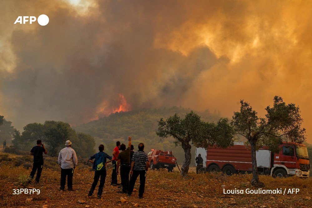 AFP News Agency tweet media