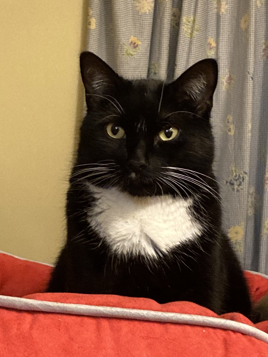 Suffolk born, gamekeeper's son tweet media