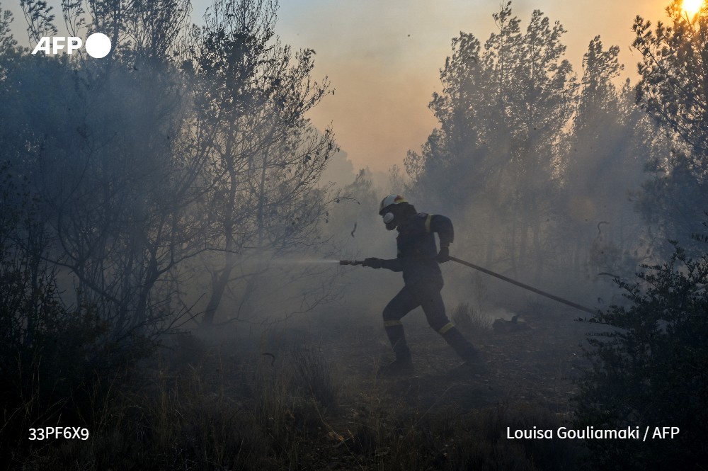 AFP News Agency tweet media