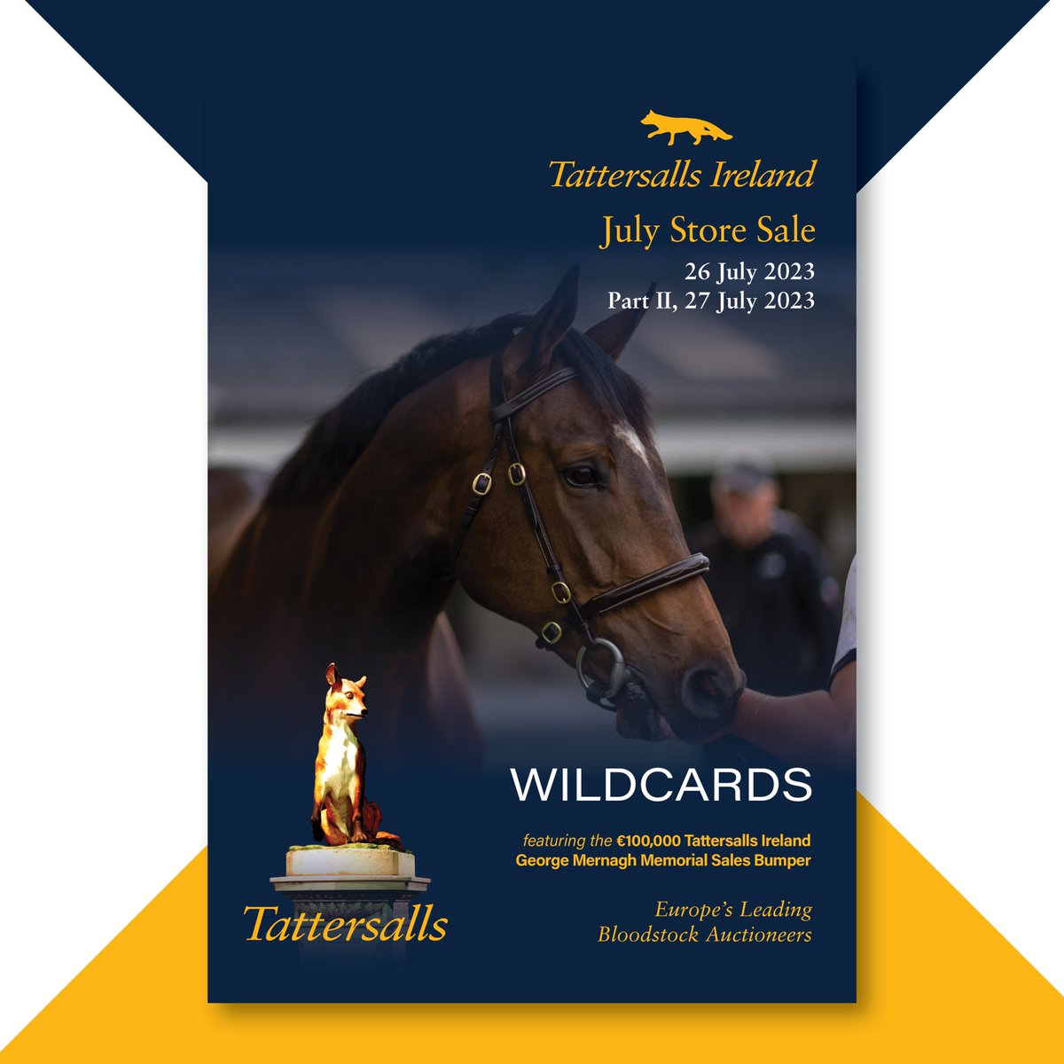 ✨July Store Sale wildcard catalogue online✨

46 exciting wildcards are included on Day 1 of the July Store Sale, taking place Wednesday 26 July and Thursday 27 July.

View catalogue 👉🏼 bit.ly/3K5MtDR
🗓️ 26 - 27 July