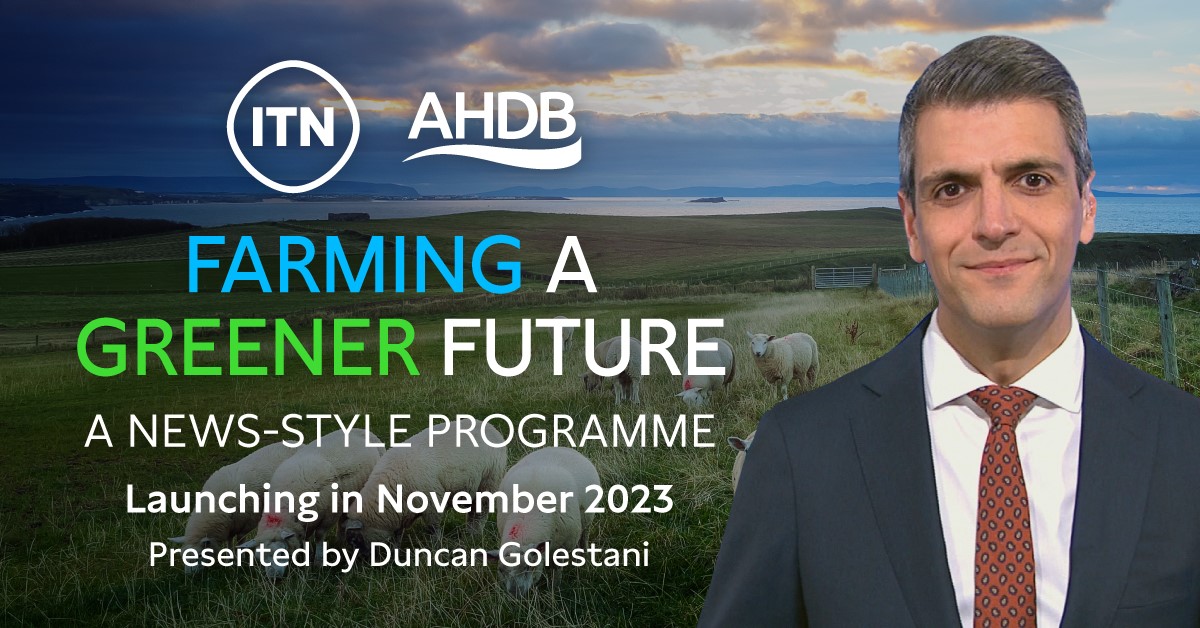 AHDB (@theahdb) on Twitter photo 📺To raise awareness and understanding of the importance of livestock and the role it has to play in feeding the population sustainably, we have partnered with <a href="/ITNBusiness/">ITN Business</a> to produce a news-style programme ‘Farming a Greener Future’, launching November 2023.
More info below 👇 📺To raise awareness and understanding of the importance of livestock and the role it has to play in feeding the population sustainably, we have partnered with <a href="/ITNBusiness/">ITN Business</a> to produce a news-style programme ‘Farming a Greener Future’, launching November 2023.
More info below 👇